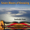Seven Waves of Knowing album cover art