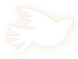 image of a peace dove